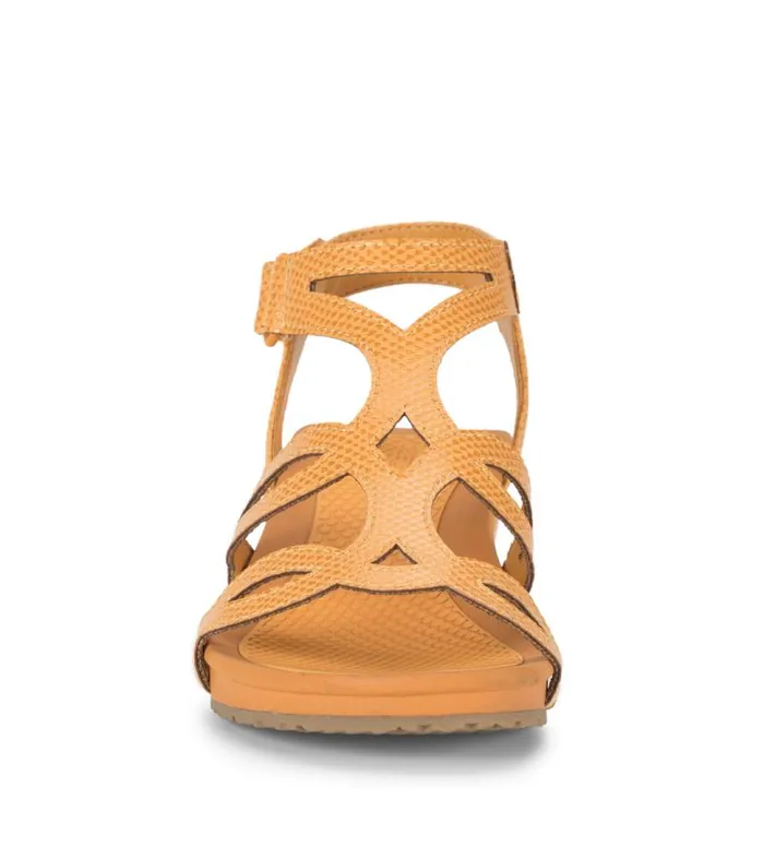Women Baretraps Wedge Sandals Raeanne Wedge Sandal Sun Women Baretraps Wedge Sandals Raeanne Wedge Sandal Sun