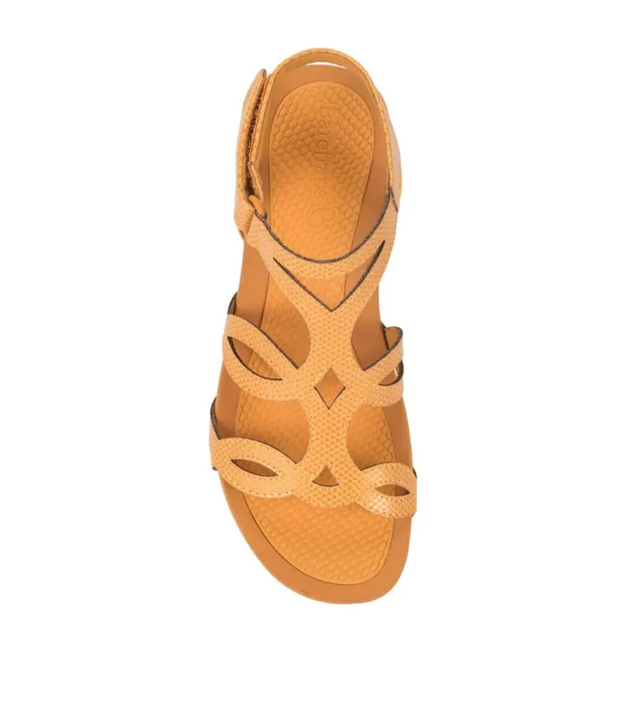 Women Baretraps Wedge Sandals Raeanne Wedge Sandal Sun Women Baretraps Wedge Sandals Raeanne Wedge Sandal Sun