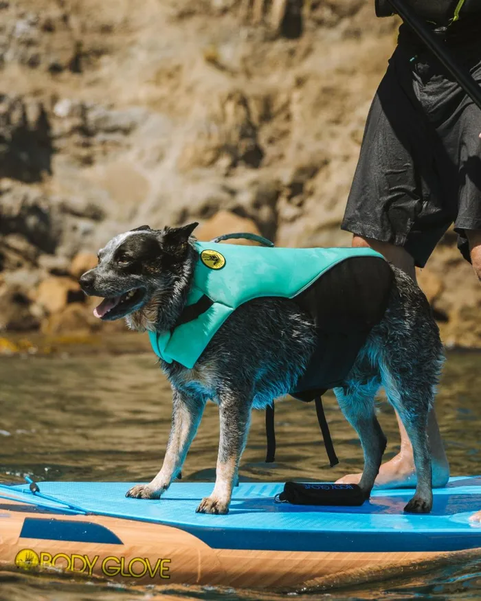 Body Glove Paddle Boards Men Neoprene Pet Life Jacket 8211 Teal