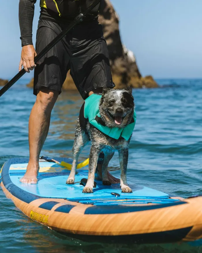 Body Glove Paddle Boards Men Neoprene Pet Life Jacket 8211 Teal