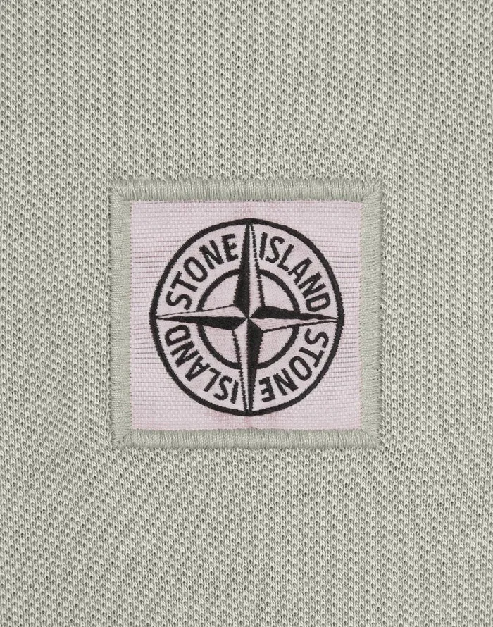 Mens 20467 Pigment Dye ShortSleeve TShirt In Dove Grey Stone Island TShirts
