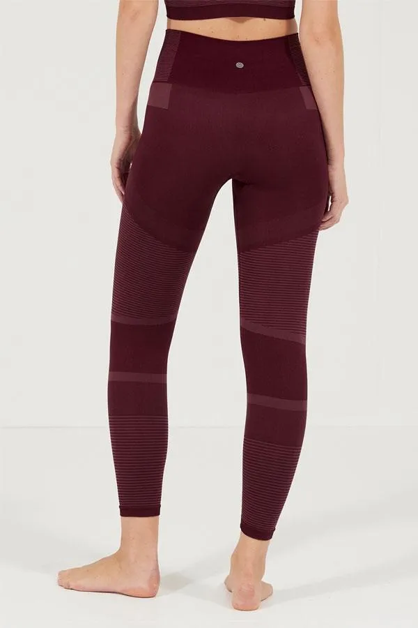 Sosandar Activewear Women Burgundy UltraSculpt High Waisted Activewear Leggings Burgundy