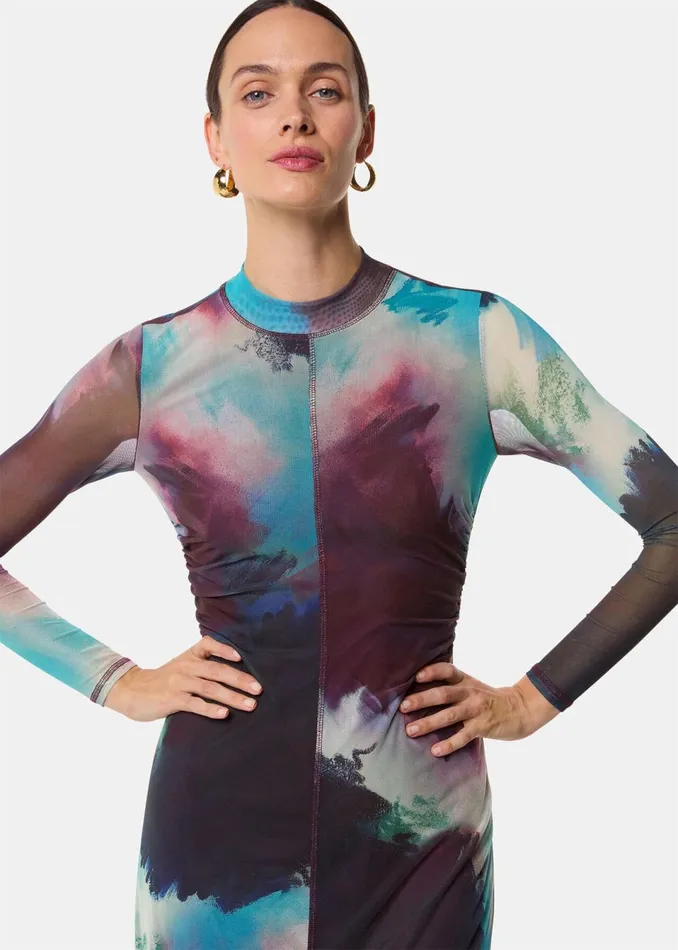 Women Dresses Whistles Multicolour Oil Paint Print Mesh Dress