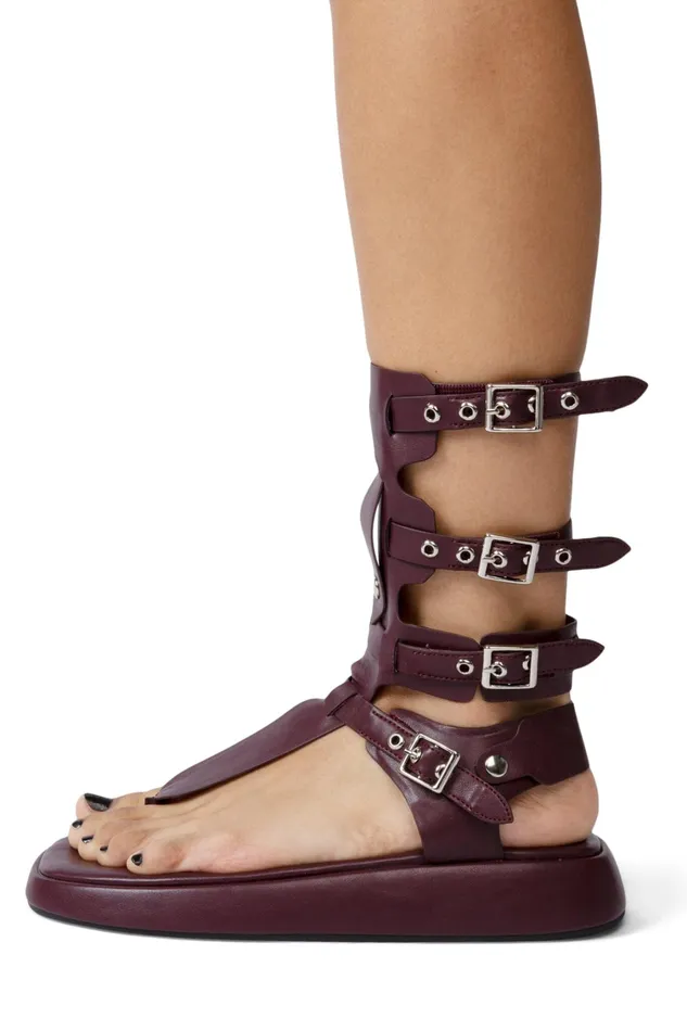 Women Flat Jeffrey Campbell AMOZONIA Wine