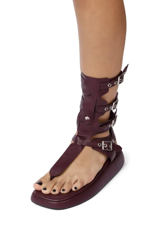 Women Flat Jeffrey Campbell AMOZONIA Wine