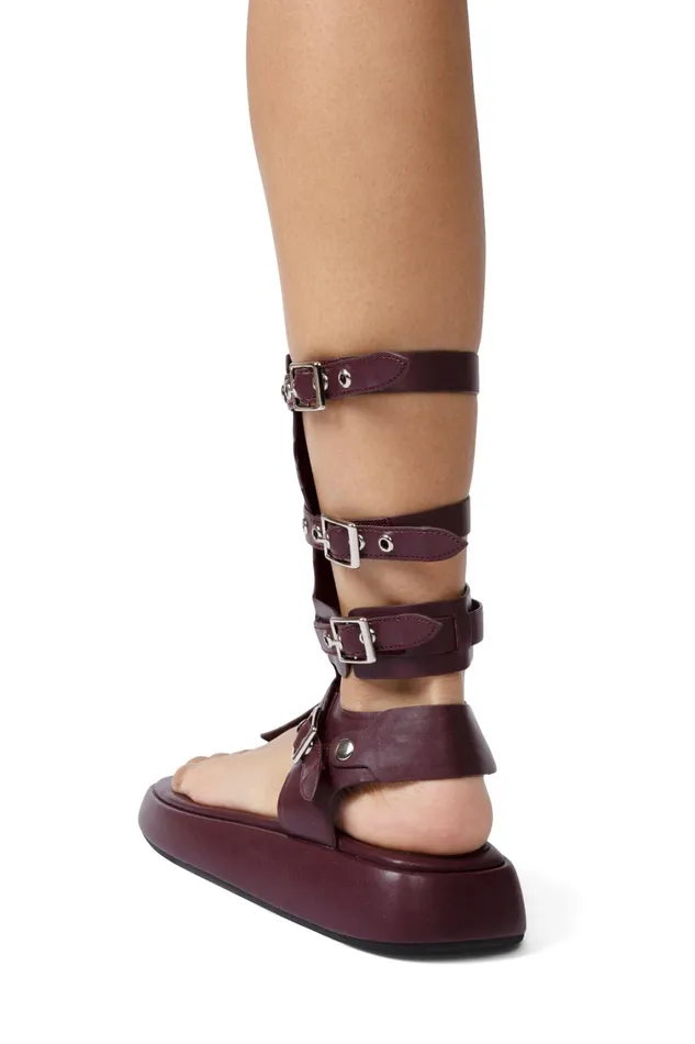 Women Flat Jeffrey Campbell AMOZONIA Wine