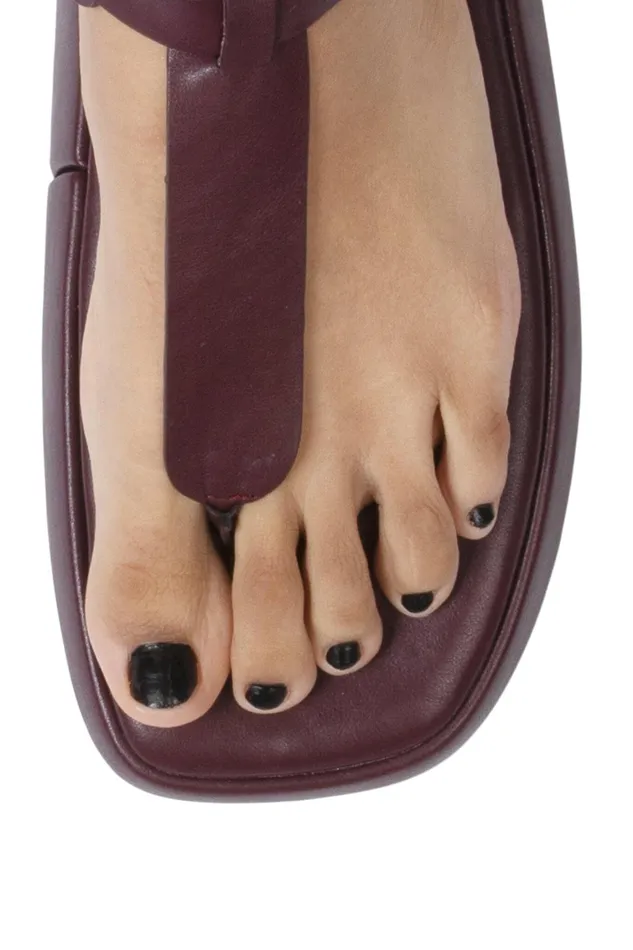 Women Flat Jeffrey Campbell AMOZONIA Wine