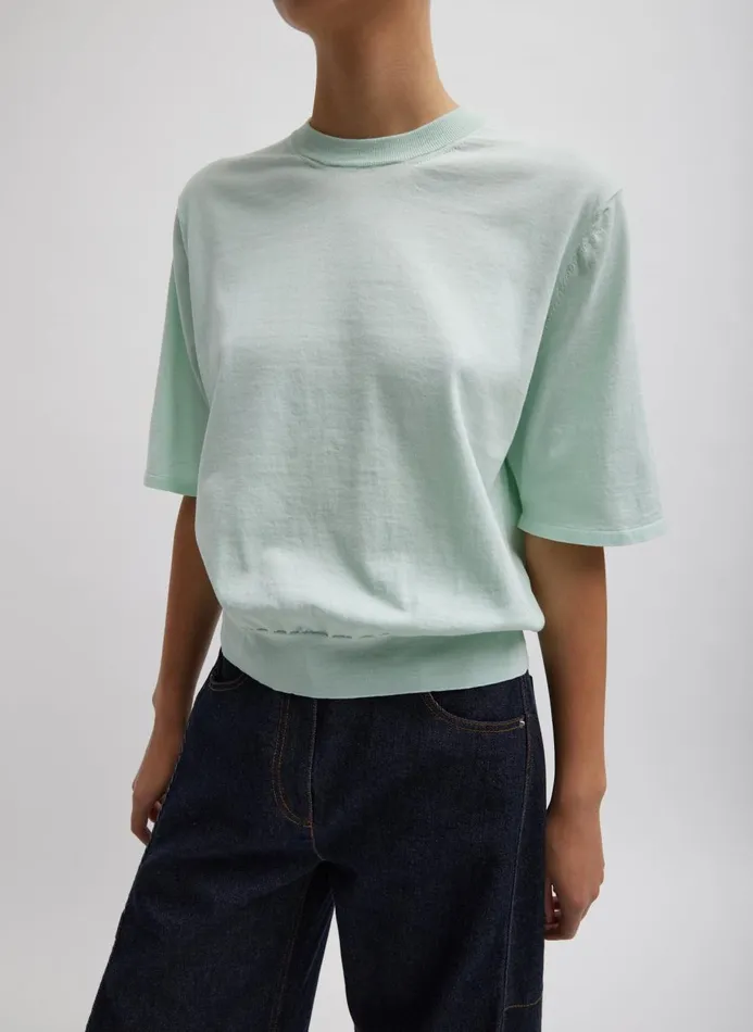 Women Fundamentals Tibi Super Fine Gauge Perfect Short Sleeve Men039s Pullover Pale Mint Women Fundamentals Tibi Super Fine Gauge Perfect Short Sleeve Men039s Pullover Pale Mint