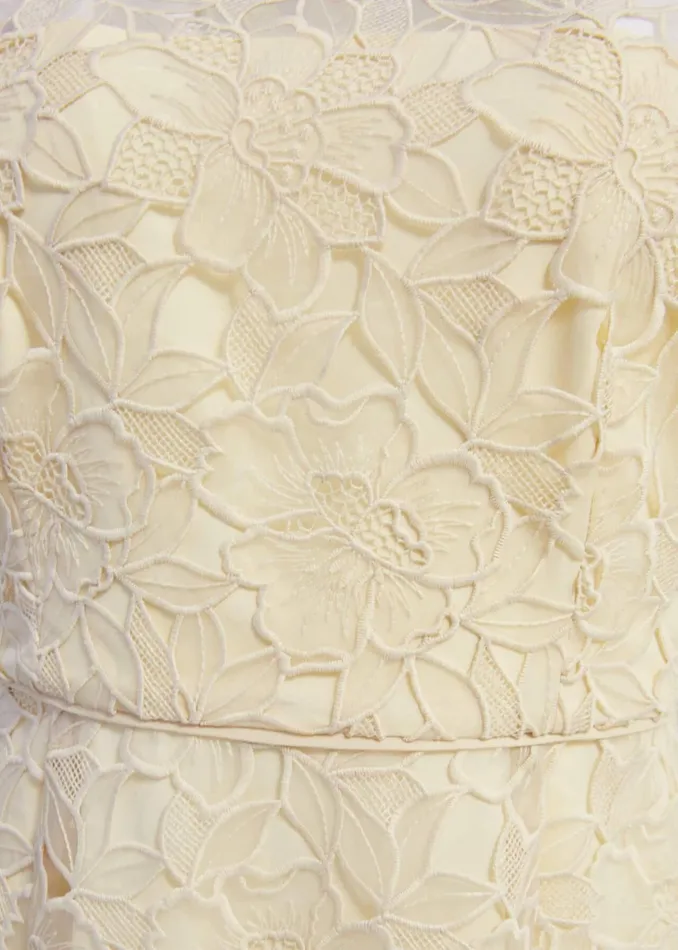 Women Johanna Lace Dress Oyster Hobbs Dresses and Jumpsuits