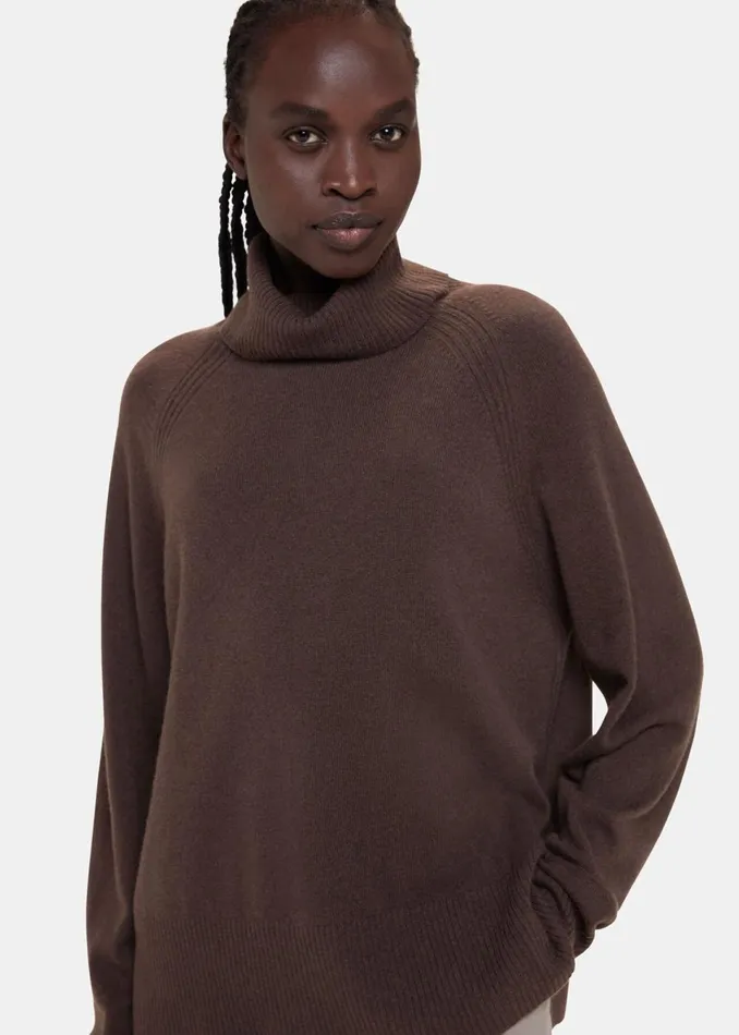 Women Knitwear and Cashmere Whistles Brown Cashmere Roll Neck