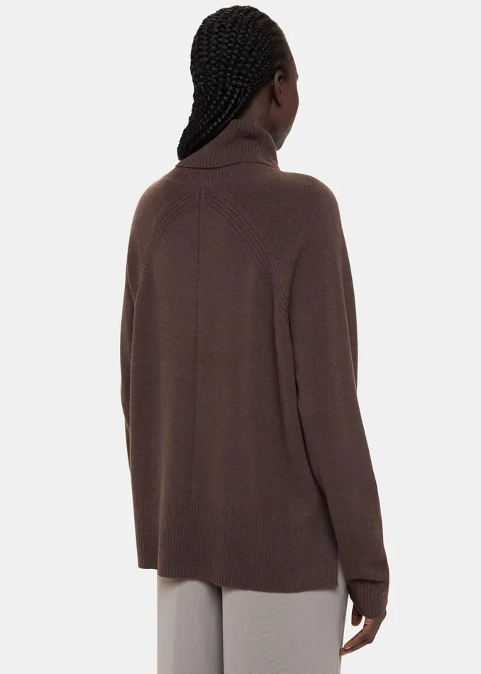 Women Knitwear and Cashmere Whistles Brown Cashmere Roll Neck