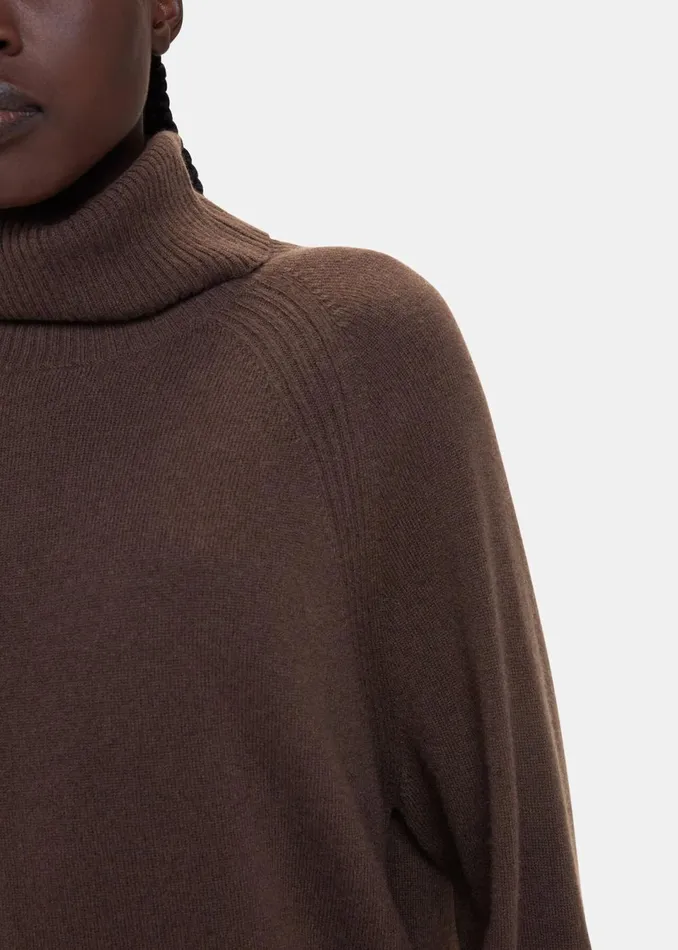 Women Knitwear and Cashmere Whistles Brown Cashmere Roll Neck