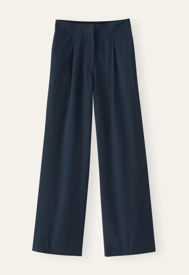 Women Pleatfront Trousers Poetry Fashion Trousers and Shorts